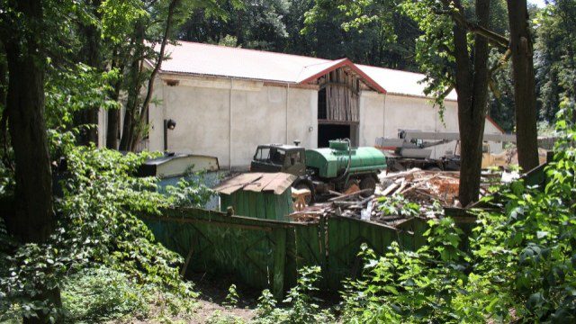 кіно дружба